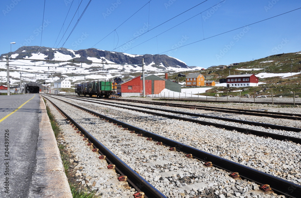 Fototapeta premium Finse railway station