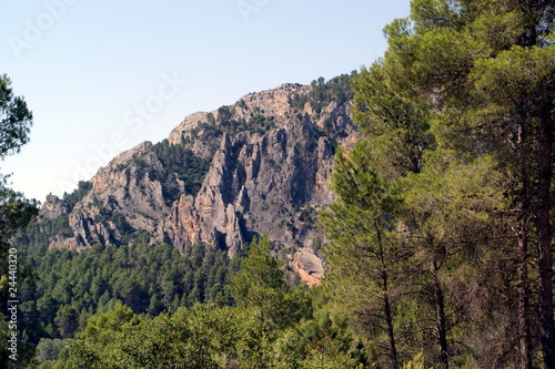 Parque Natural Hoces del Cabriel en España