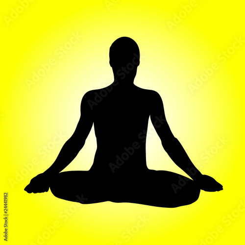yoga vector