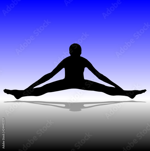 fitness vector