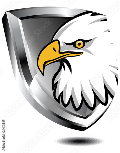 Silver shield with Eagle