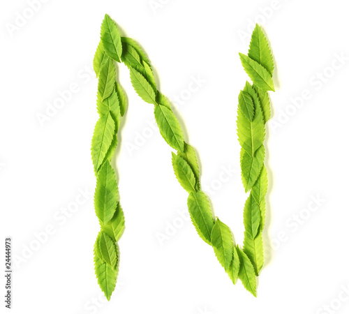 Leaf letters