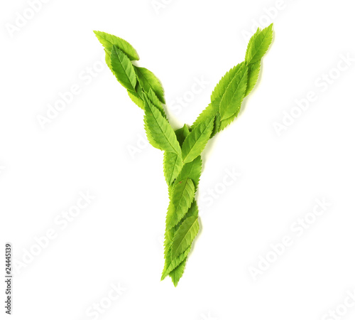 Leaf letters