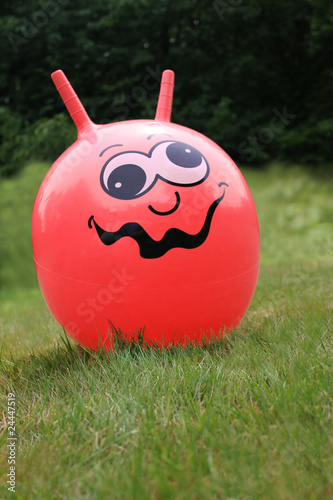 space hopper