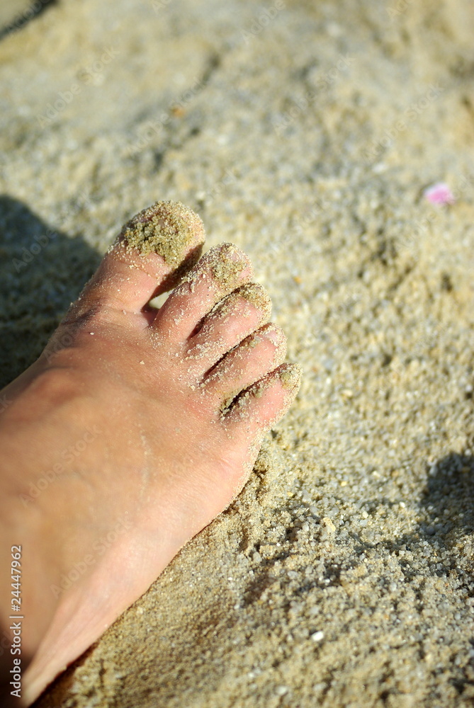 Les doigts de pied en éventail Photos Adobe Stock
