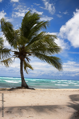 Fototapeta Naklejka Na Ścianę i Meble -  Tropical Paradise at caribbean