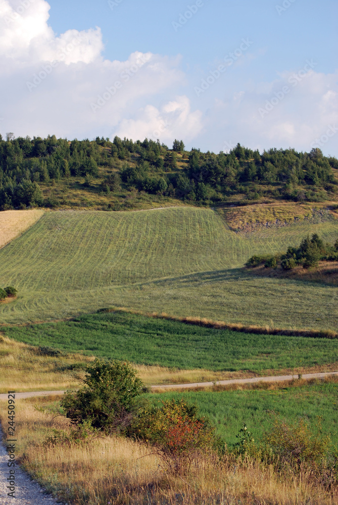 Fototapeta premium Montebufo_12