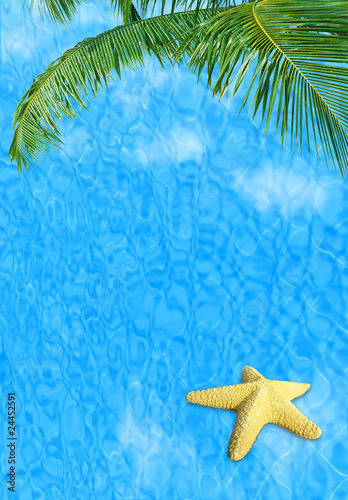 Water background with starfish © Anna Om