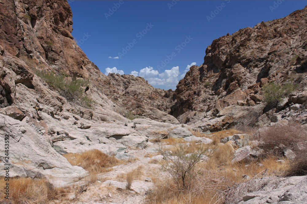 Harsh terrain of Grapevine Canyon - Nevada