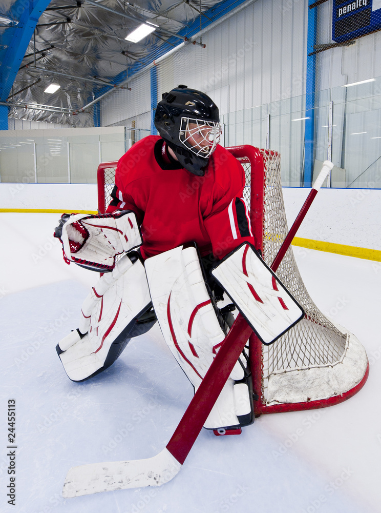 Naklejka premium Ice hockey goalie