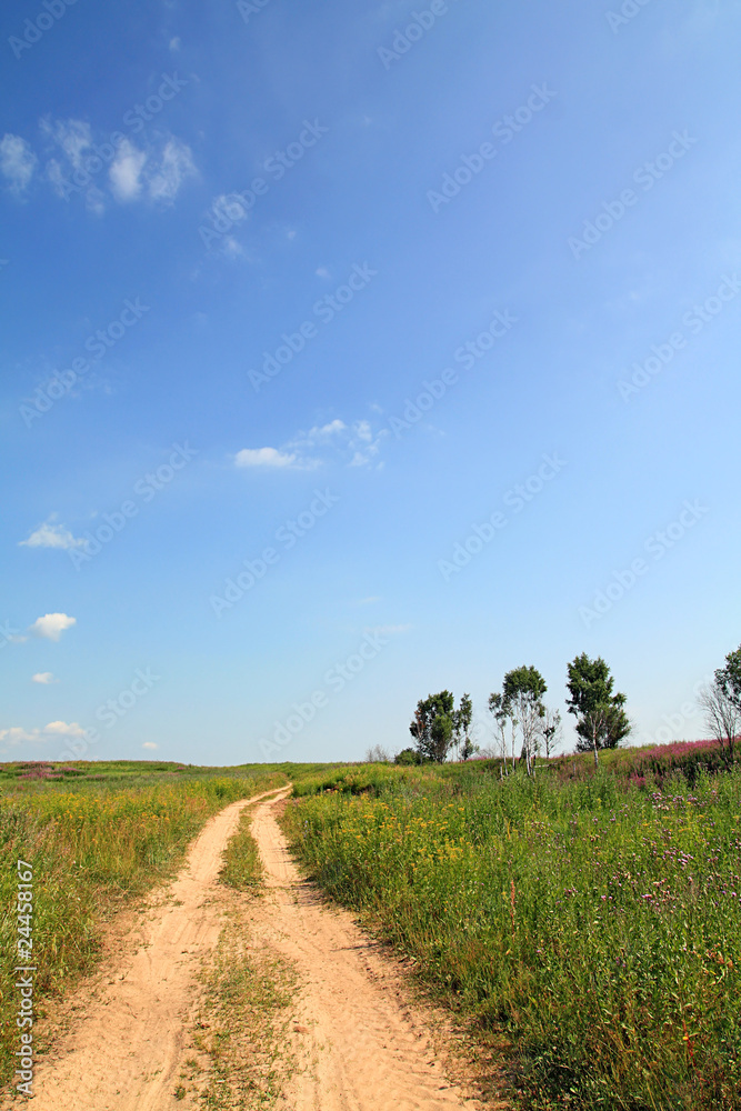 Fototapeta premium road in field
