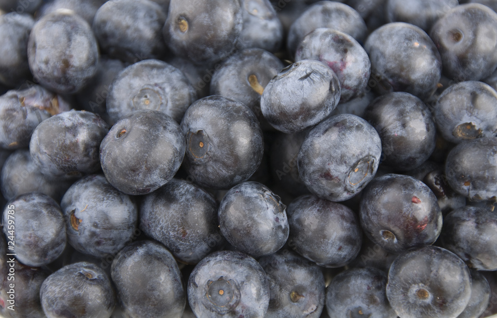 Blueberries Blueberries