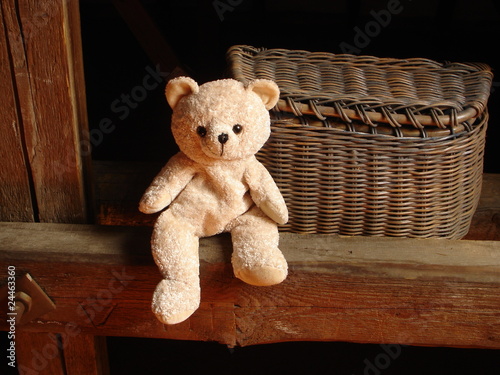 Teddy photo