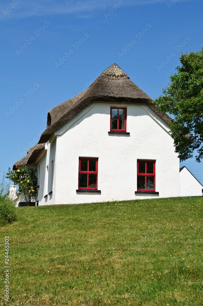 Fototapeta premium rural cottage home