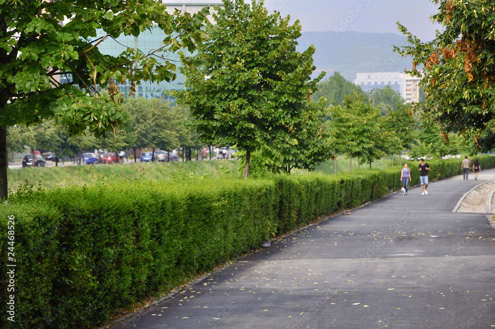 walking road walking road