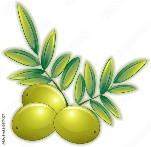 Olive Verdi-Green Olives-Vector