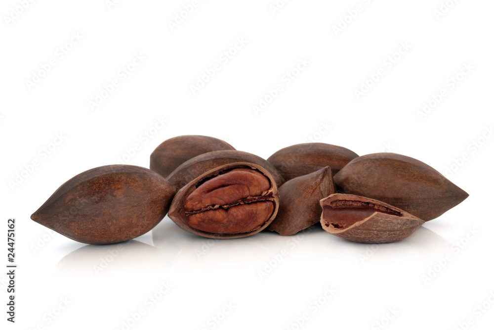 Obraz premium Pecan Nuts