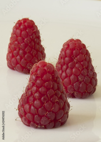 Scottish Raspberries 05 photo