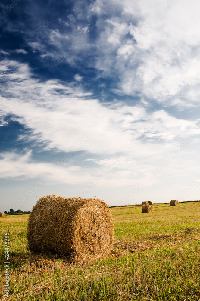 Field, bales and amazing blue sky with white clouds.