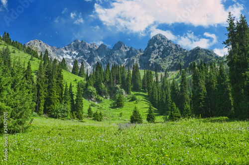 Mountain landscape in summer