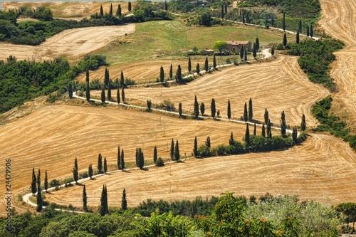 Tuscana Landscape - road serpentines
