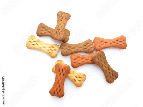 Biscotti per cane