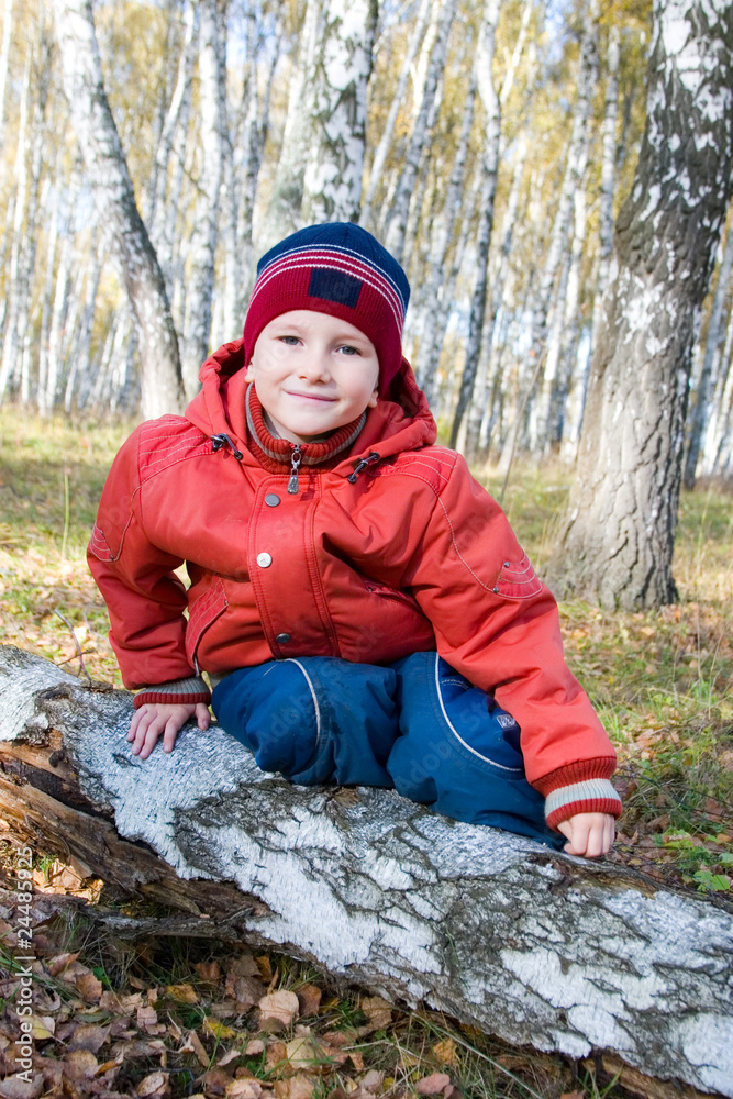 Little boy in autumn birch forest Little boy in autumn birch forest
