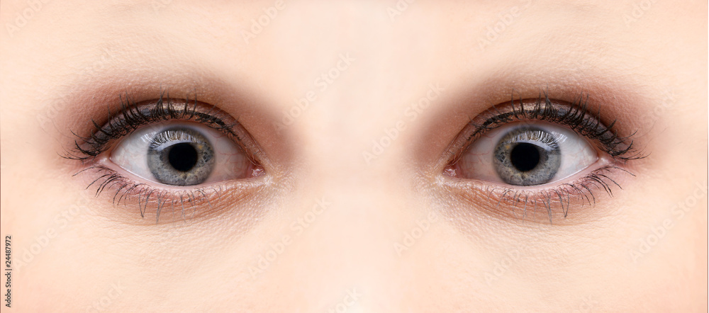 Fototapeta premium Beautiful micro shoot of a lady´s eyes