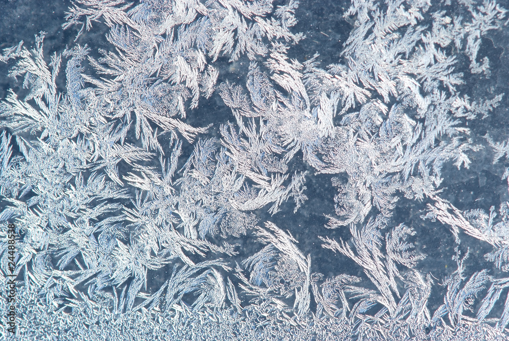 hoar-frost background hoar-frost background