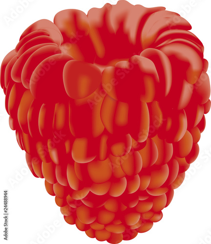 luminous shining bright red raspberry