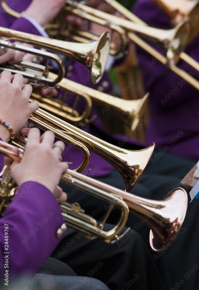 Obraz premium Trumpet Player's