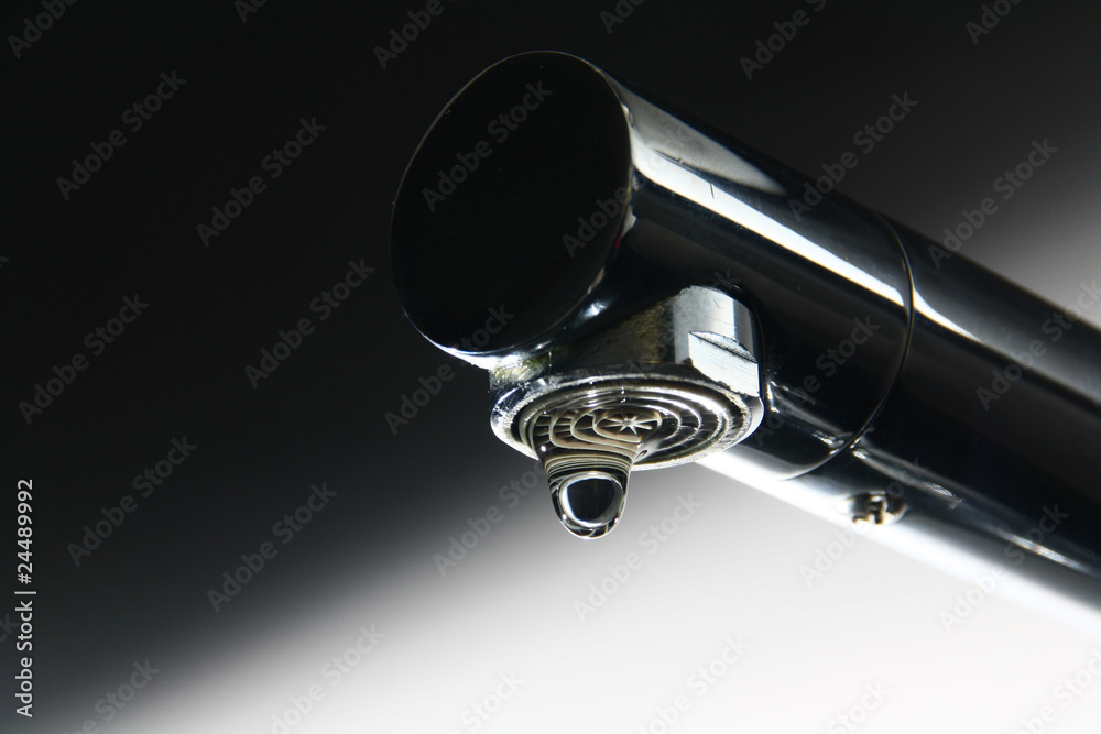 Grifo Stock-Foto | Adobe Stock