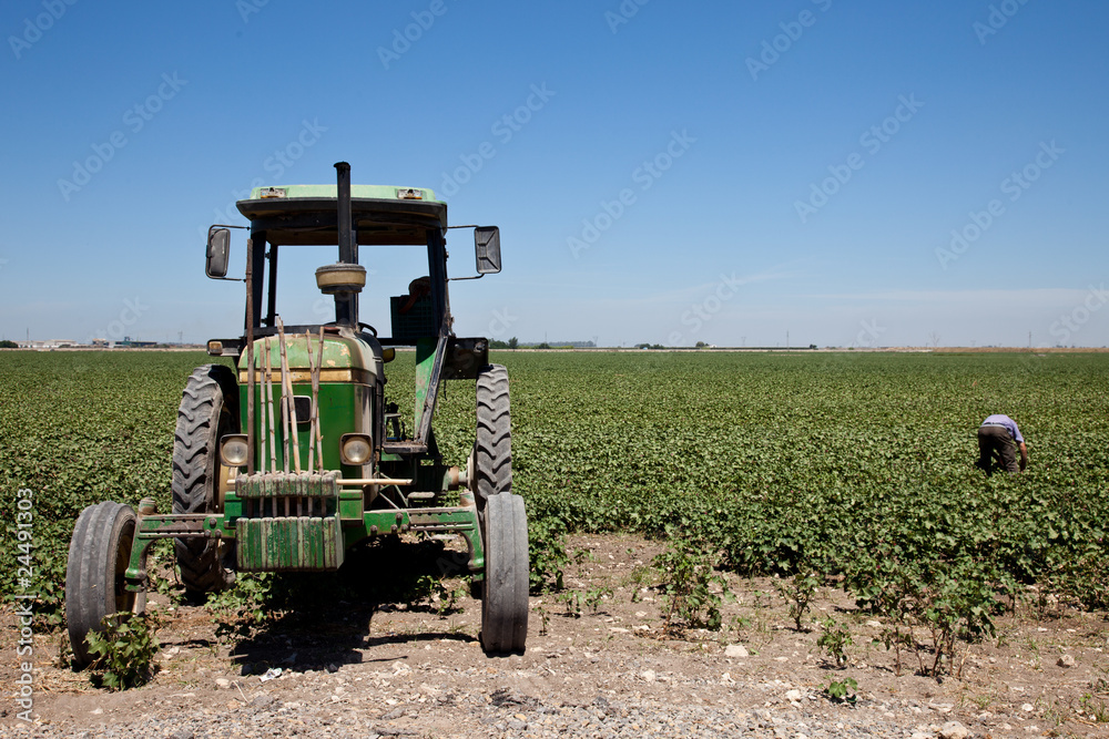 Fototapeta Tractor frente a campos sembrados