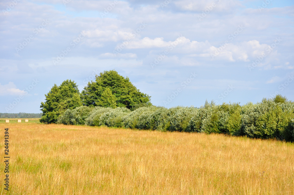 Naturlandschaft