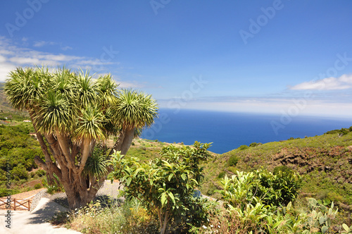 La Palma, Kanarische Inseln