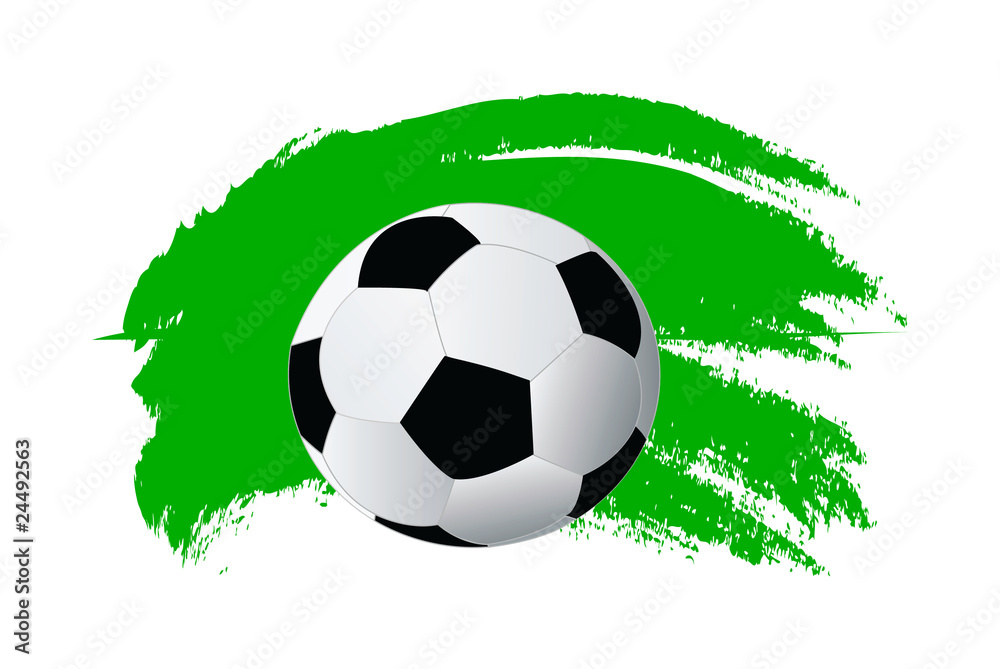Fototapeta premium vector soccer ball