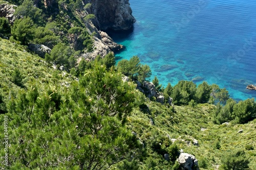 Mallorca Islas Baleares photo