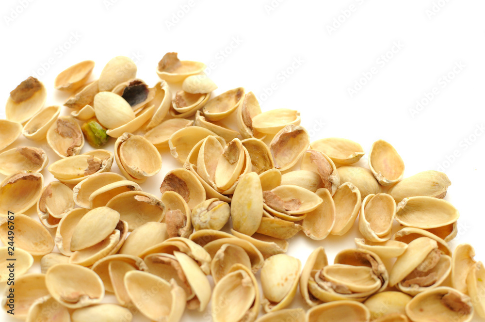 Macadamia Macadamia