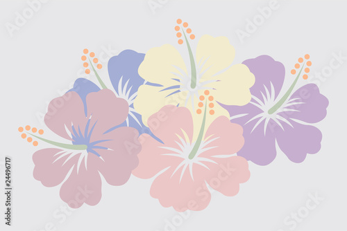 bleach vector illustration of hibiscus flowers