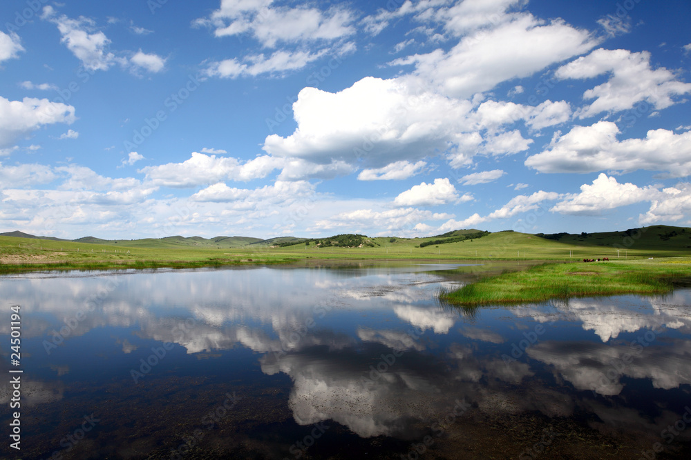 Landscape in grassland Landscape in grassland