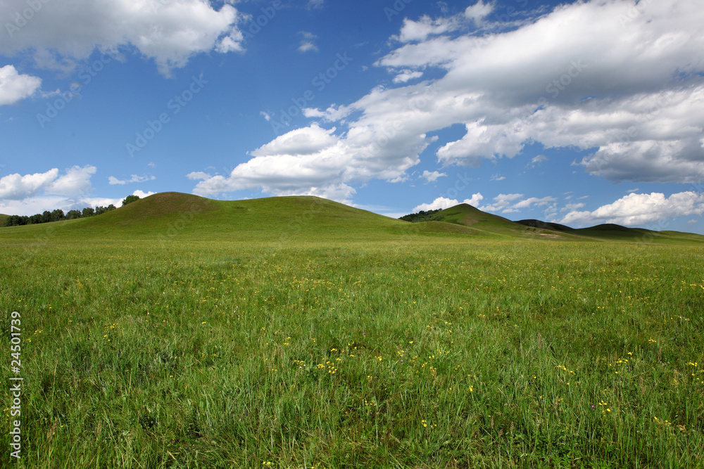 Obraz premium Landscape in grassland