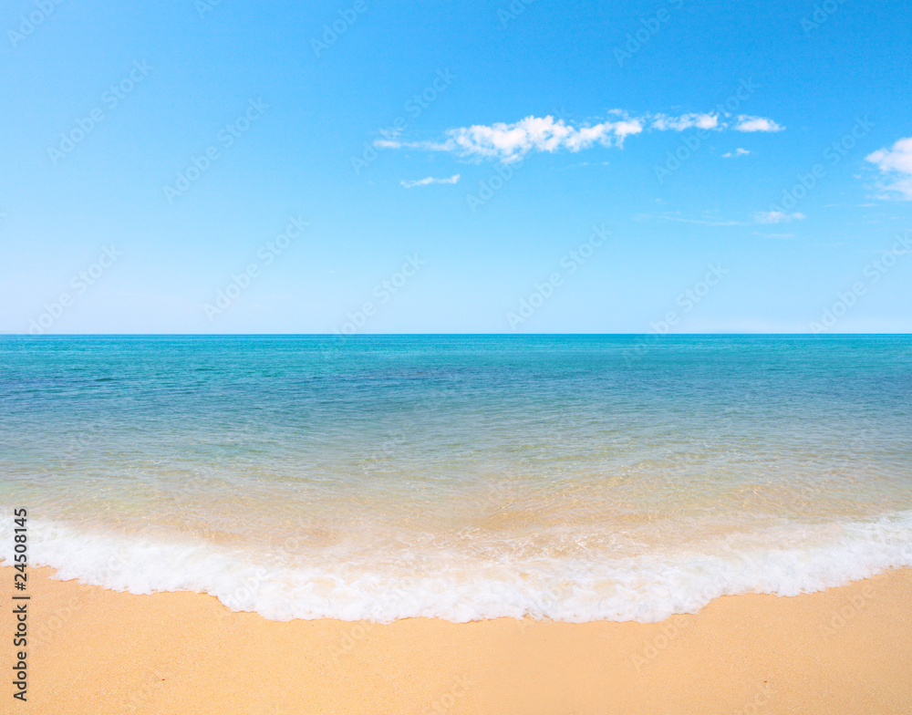 Fototapeta premium beach and tropical sea