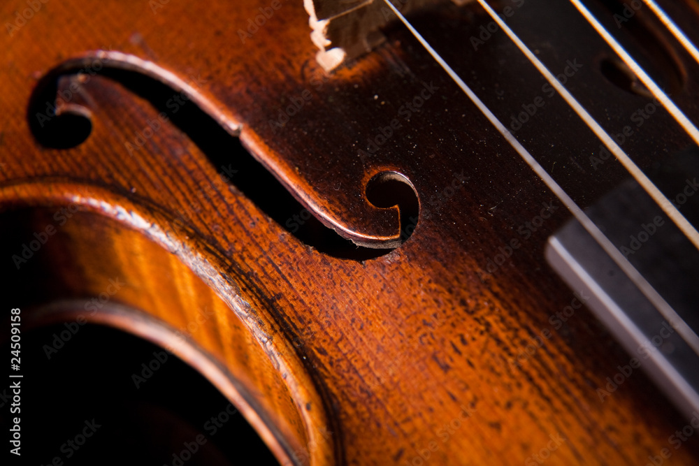 Fototapeta Beautiful old violin