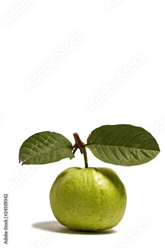 Guava Isolated on White Portrait