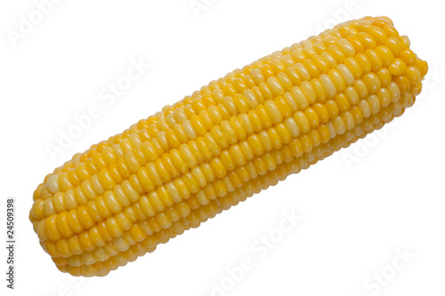 corn isolated on white no shadow
