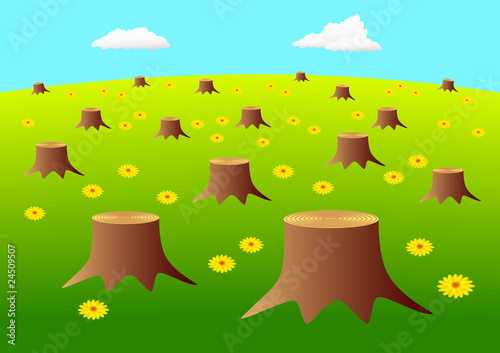 Glade with stumps