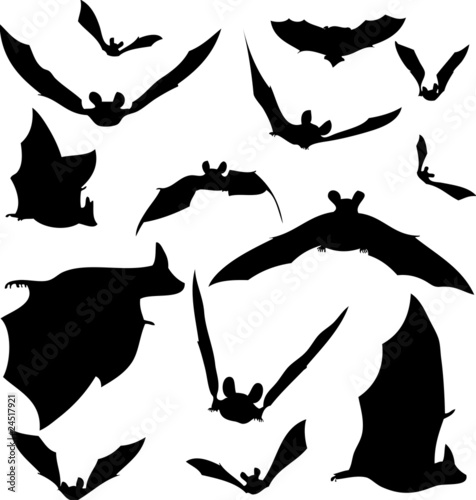 Bat Silhouettes