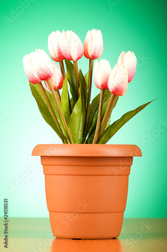 Bunch of tulip flowers on the table