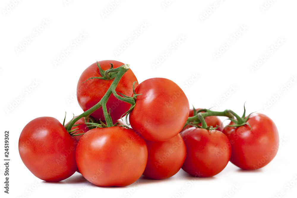 Tomatoes Tomatoes