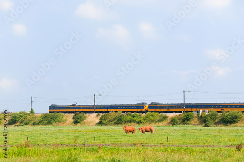 Dutch train in landscape